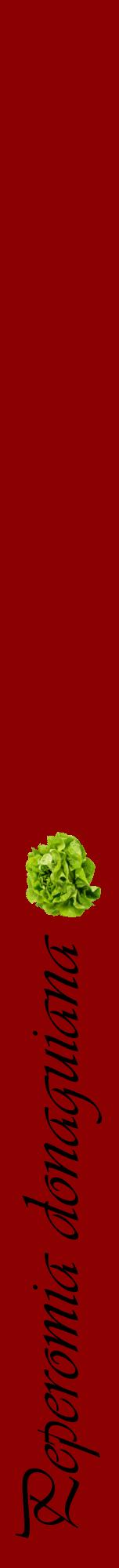 Étiquette de : Peperomia donaguiana - format a - style noire34viv avec comestibilité simplifiée