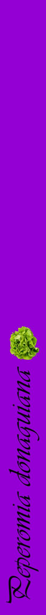 Étiquette de : Peperomia donaguiana - format a - style noire48viv avec comestibilité simplifiée