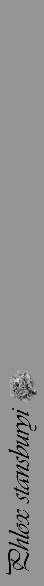 Étiquette de : Phlox stansburyi - format a - style noire16viv avec comestibilité simplifiée - position verticale