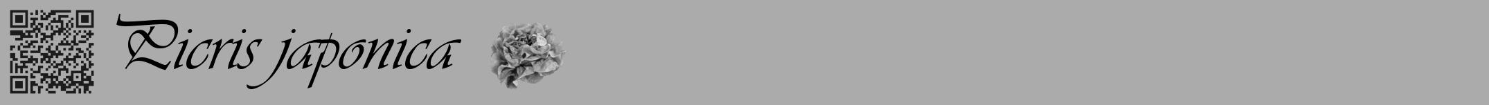 Étiquette de : Picris japonica - format a - style noire37viv avec qrcode et comestibilité simplifiée