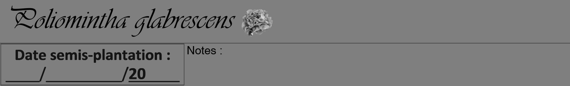 Étiquette de : Poliomintha glabrescens - format a - style noire31viv avec comestibilité simplifiée