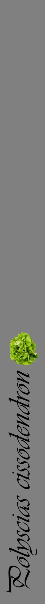 Étiquette de : Polyscias cissodendron - format a - style noire57viv avec comestibilité simplifiée