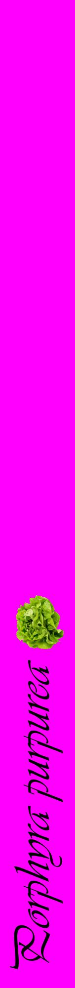Étiquette de : Porphyra purpurea - format a - style noire51viv avec comestibilité simplifiée