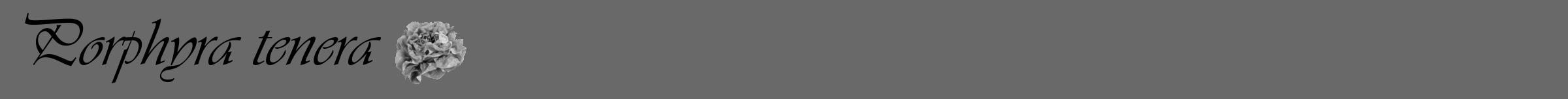 Étiquette de : Porphyra tenera - format a - style noire11simpleviv avec comestibilité simplifiée