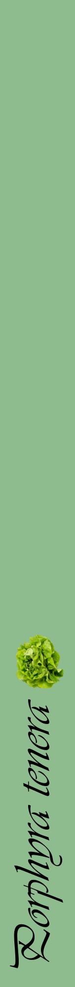 Étiquette de : Porphyra tenera - format a - style noire13viv avec comestibilité simplifiée