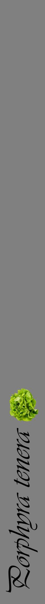 Étiquette de : Porphyra tenera - format a - style noire57viv avec comestibilité simplifiée