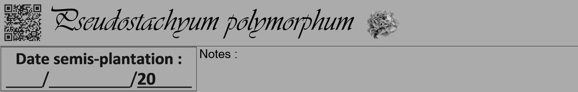 Étiquette de : Pseudostachyum polymorphum - format a - style noire37basiqueviv avec qrcode et comestibilité simplifiée