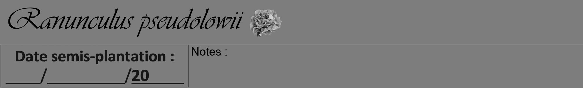 Étiquette de : Ranunculus pseudolowii - format a - style noire35viv avec comestibilité simplifiée