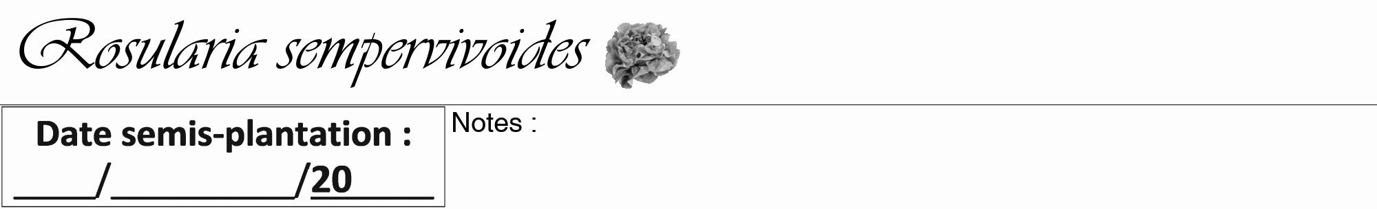 Étiquette de : Rosularia sempervivoides - format a - style noire19viv avec comestibilité simplifiée