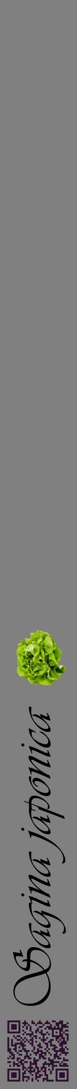 Étiquette de : Sagina japonica - format a - style noire57viv avec qrcode et comestibilité simplifiée