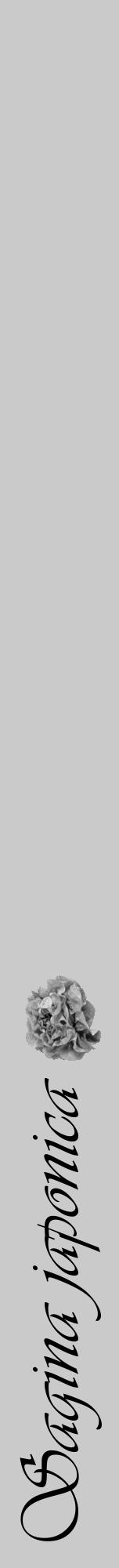 Étiquette de : Sagina japonica - format a - style noire21viv avec comestibilité simplifiée - position verticale