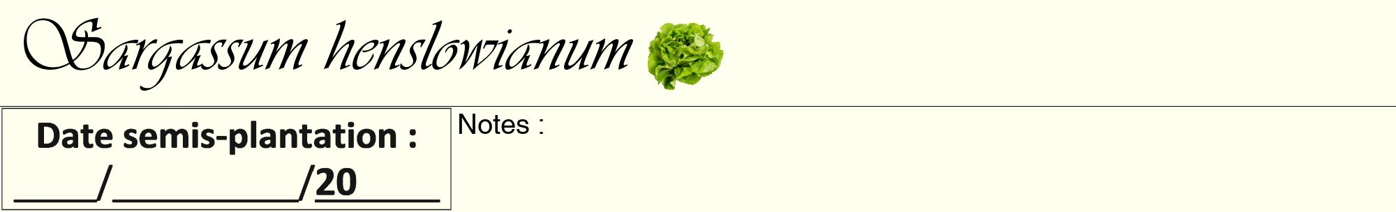 Étiquette de : Sargassum henslowianum - format a - style noire19viv avec comestibilité simplifiée