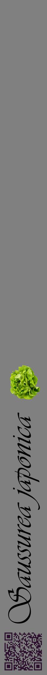 Étiquette de : Saussurea japonica - format a - style noire57viv avec qrcode et comestibilité simplifiée