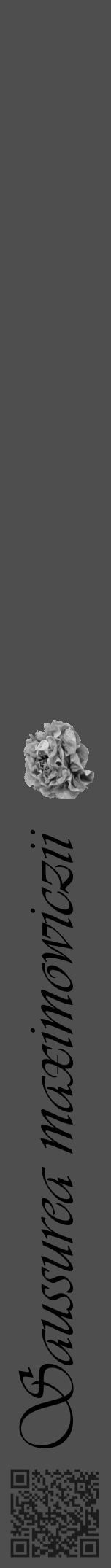 Étiquette de : Saussurea maximowiczii - format a - style noire33viv avec qrcode et comestibilité simplifiée - position verticale