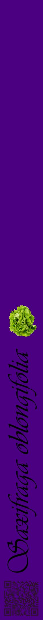 Étiquette de : Saxifraga oblongifolia - format a - style noire47viv avec qrcode et comestibilité simplifiée