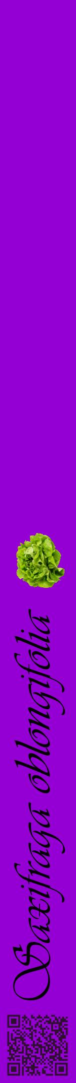 Étiquette de : Saxifraga oblongifolia - format a - style noire48viv avec qrcode et comestibilité simplifiée