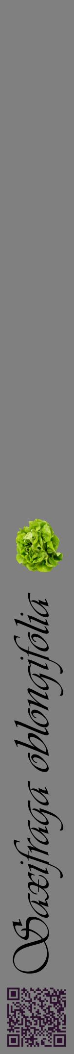 Étiquette de : Saxifraga oblongifolia - format a - style noire57viv avec qrcode et comestibilité simplifiée