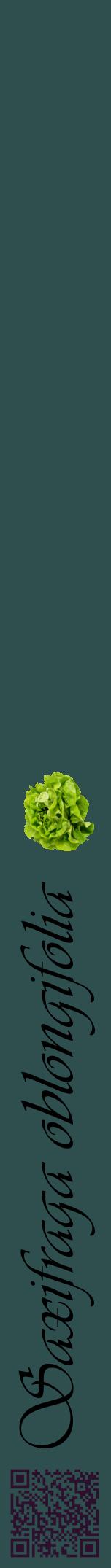Étiquette de : Saxifraga oblongifolia - format a - style noire58viv avec qrcode et comestibilité simplifiée