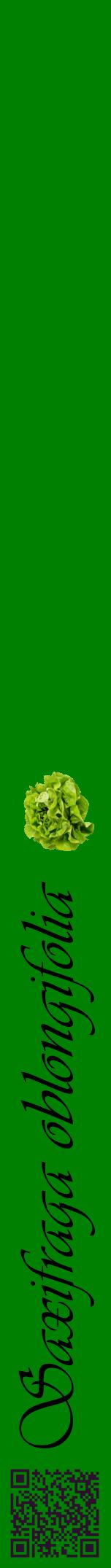 Étiquette de : Saxifraga oblongifolia - format a - style noire9viv avec qrcode et comestibilité simplifiée