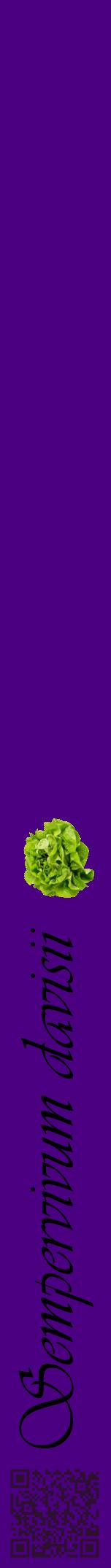 Étiquette de : Sempervivum davisii - format a - style noire47viv avec qrcode et comestibilité simplifiée