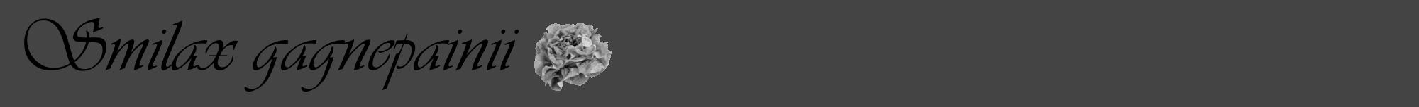 Étiquette de : Smilax gagnepainii - format a - style noire48viv avec comestibilité simplifiée