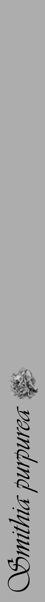 Étiquette de : Smithia purpurea - format a - style noire22viv avec comestibilité simplifiée - position verticale