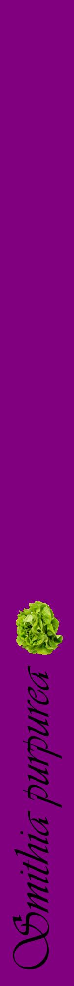 Étiquette de : Smithia purpurea - format a - style noire46viv avec comestibilité simplifiée