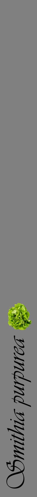 Étiquette de : Smithia purpurea - format a - style noire57viv avec comestibilité simplifiée