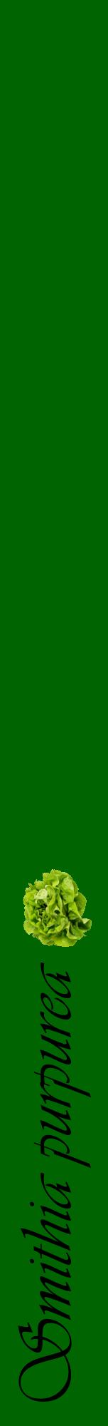 Étiquette de : Smithia purpurea - format a - style noire8viv avec comestibilité simplifiée