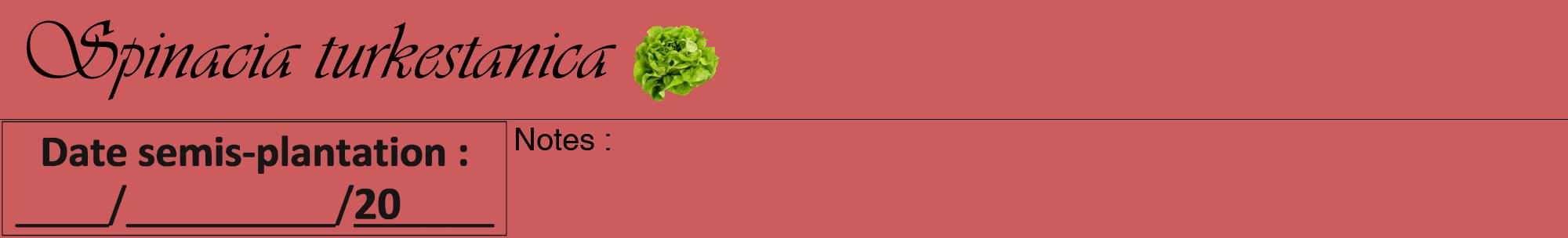 Étiquette de : Spinacia turkestanica - format a - style noire35viv avec comestibilité simplifiée