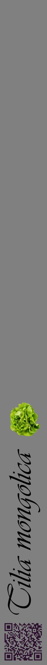 Étiquette de : Tilia mongolica - format a - style noire57viv avec qrcode et comestibilité simplifiée