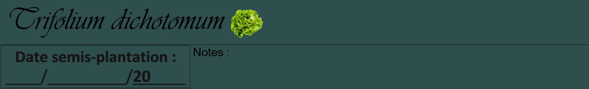 Étiquette de : Trifolium dichotomum - format a - style noire58basiqueviv avec comestibilité simplifiée