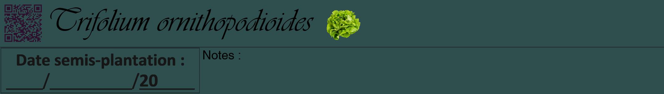Étiquette de : Trifolium ornithopodioides - format a - style noire58viv avec qrcode et comestibilité simplifiée
