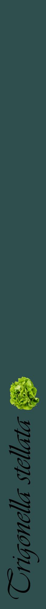 Étiquette de : Trigonella stellata - format a - style noire58viv avec comestibilité simplifiée - position verticale