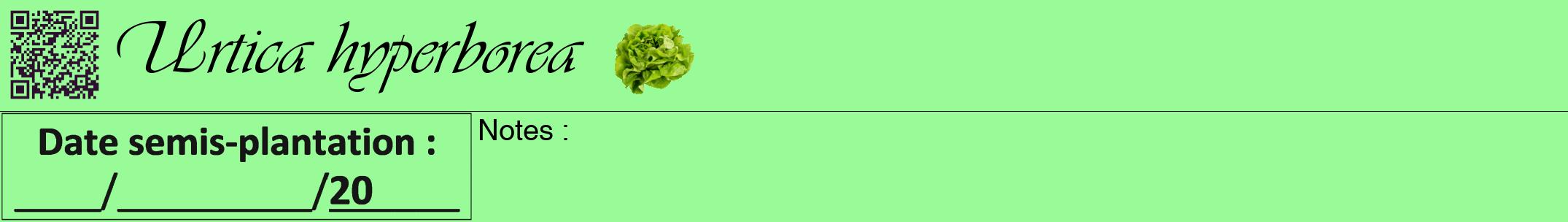 Étiquette de : Urtica hyperborea - format a - style noire14viv avec qrcode et comestibilité simplifiée