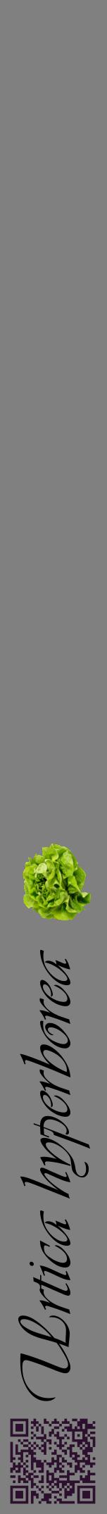Étiquette de : Urtica hyperborea - format a - style noire57viv avec qrcode et comestibilité simplifiée
