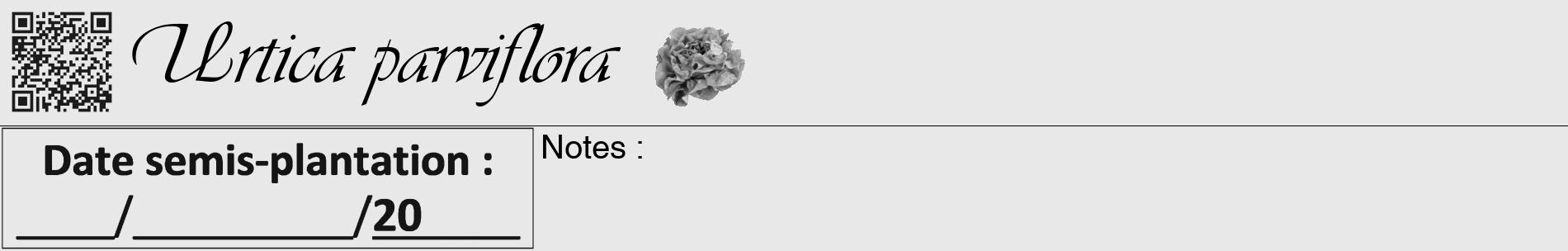 Étiquette de : Urtica parviflora - format a - style noire55basiqueviv avec qrcode et comestibilité simplifiée