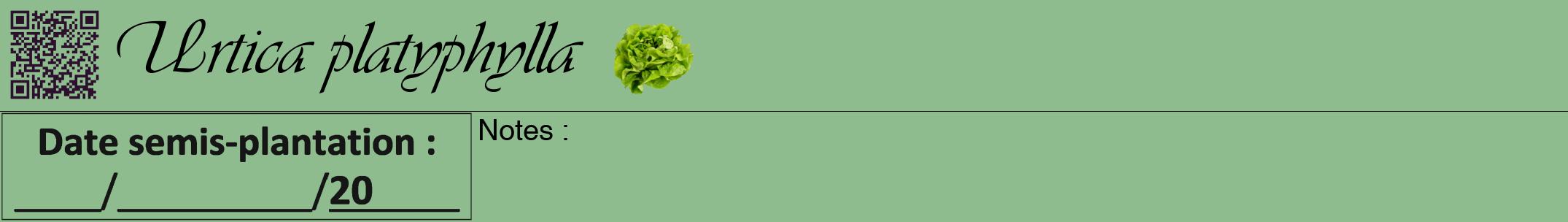 Étiquette de : Urtica platyphylla - format a - style noire13viv avec qrcode et comestibilité simplifiée