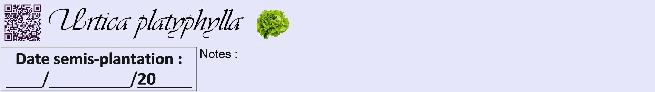 Étiquette de : Urtica platyphylla - format a - style noire55viv avec qrcode et comestibilité simplifiée