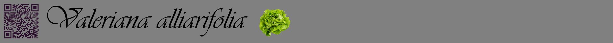 Étiquette de : Valeriana alliarifolia - format a - style noire57basiqueviv avec qrcode et comestibilité simplifiée