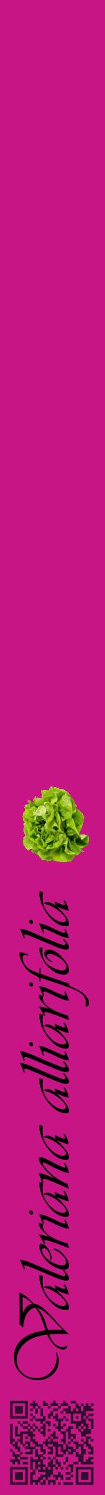 Étiquette de : Valeriana alliarifolia - format a - style noire45viv avec qrcode et comestibilité simplifiée