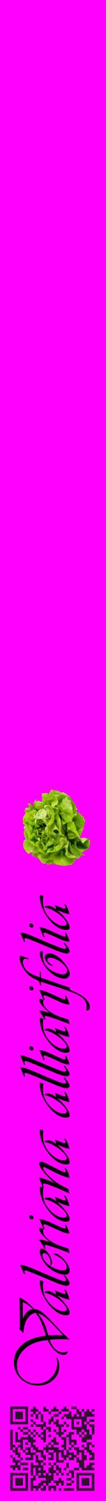 Étiquette de : Valeriana alliarifolia - format a - style noire51viv avec qrcode et comestibilité simplifiée