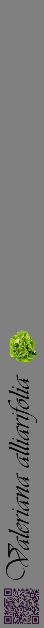 Étiquette de : Valeriana alliarifolia - format a - style noire57viv avec qrcode et comestibilité simplifiée