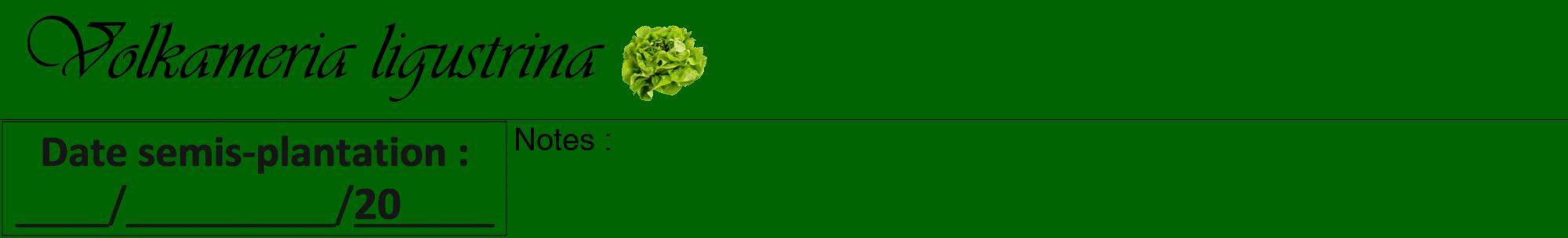 Étiquette de : Volkameria ligustrina - format a - style noire8viv avec comestibilité simplifiée