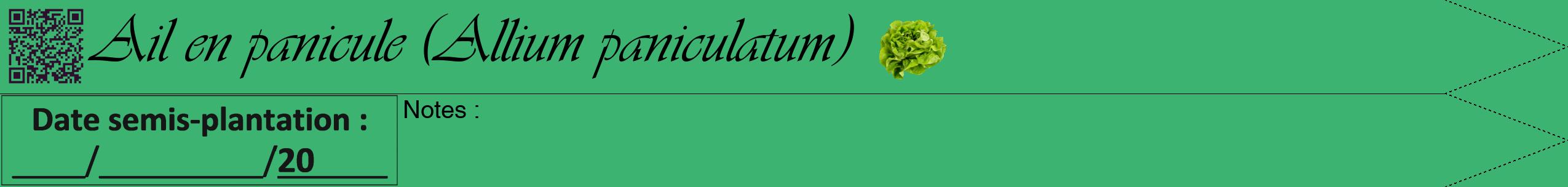 Étiquette de : Allium paniculatum - format b - style noire12viv avec qrcode et comestibilité simplifiée