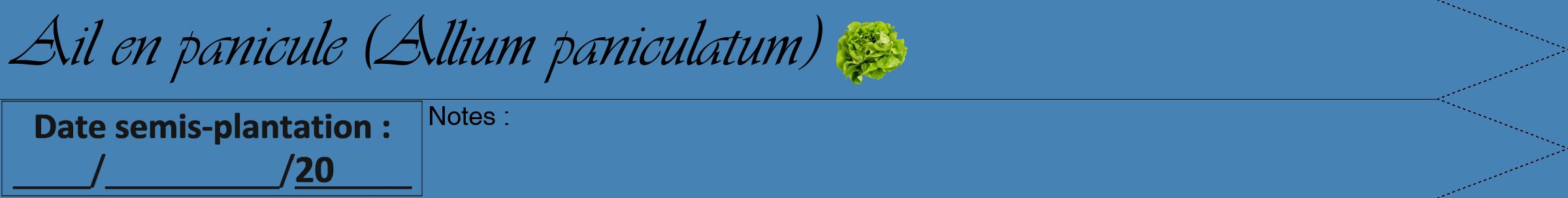 Étiquette de : Allium paniculatum - format b - style noire5viv avec comestibilité simplifiée