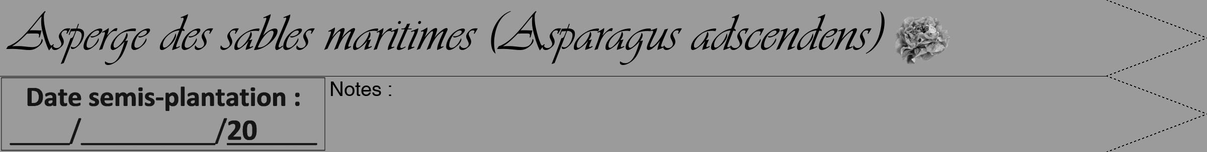 Étiquette de : Asparagus adscendens - format b - style noire52viv avec comestibilité simplifiée