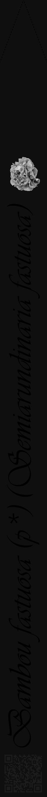 Étiquette de : Semiarundinaria fastuosa - format b - style noire7viv avec qrcode et comestibilité simplifiée - position verticale