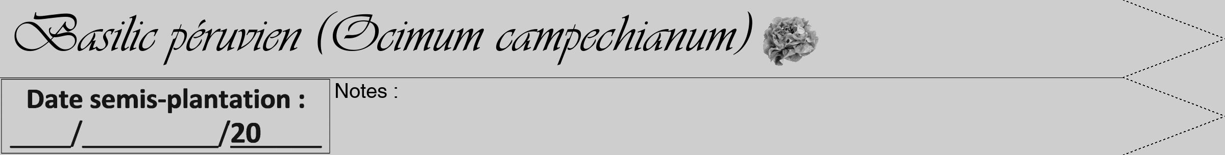 Étiquette de : Ocimum campechianum - format b - style noire17viv avec comestibilité simplifiée
