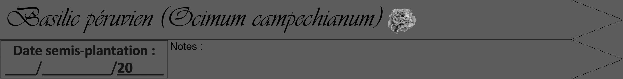Étiquette de : Ocimum campechianum - format b - style noire49viv avec comestibilité simplifiée